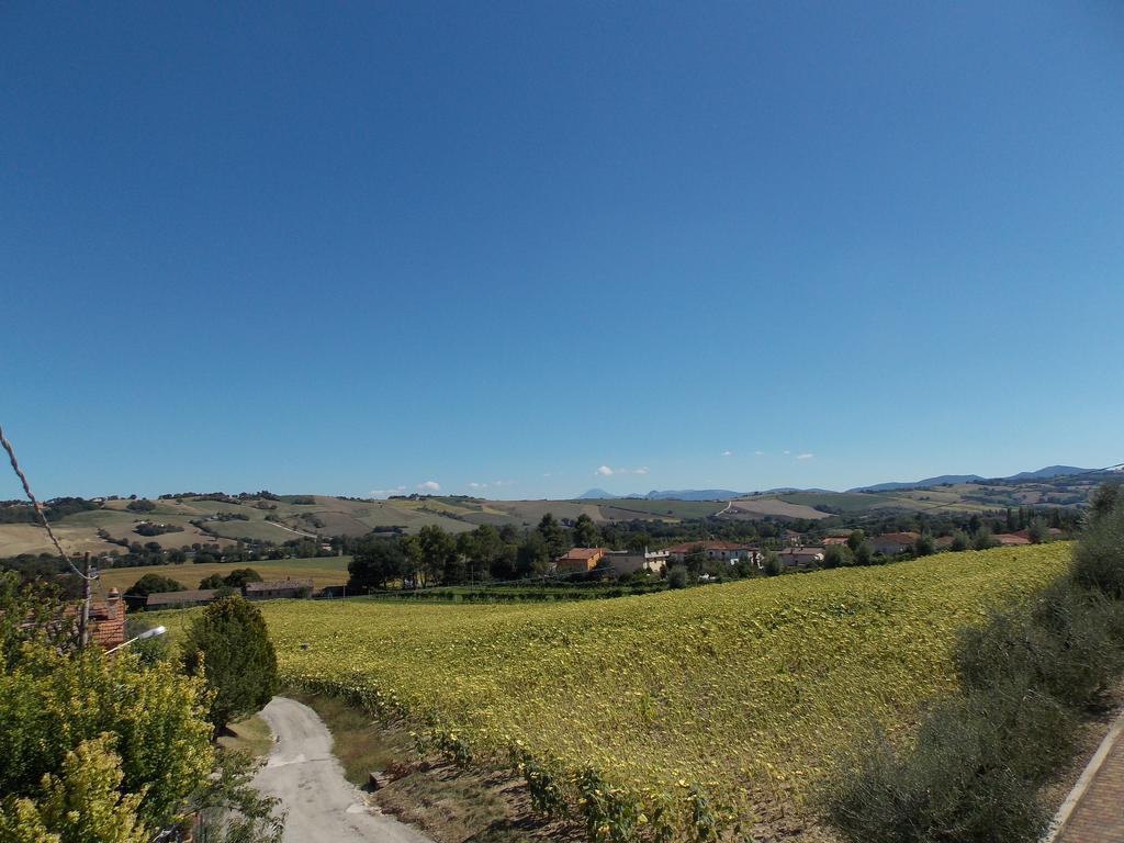 산 로렌조 인 캄포 Il Borghetto 아파트 외부 사진