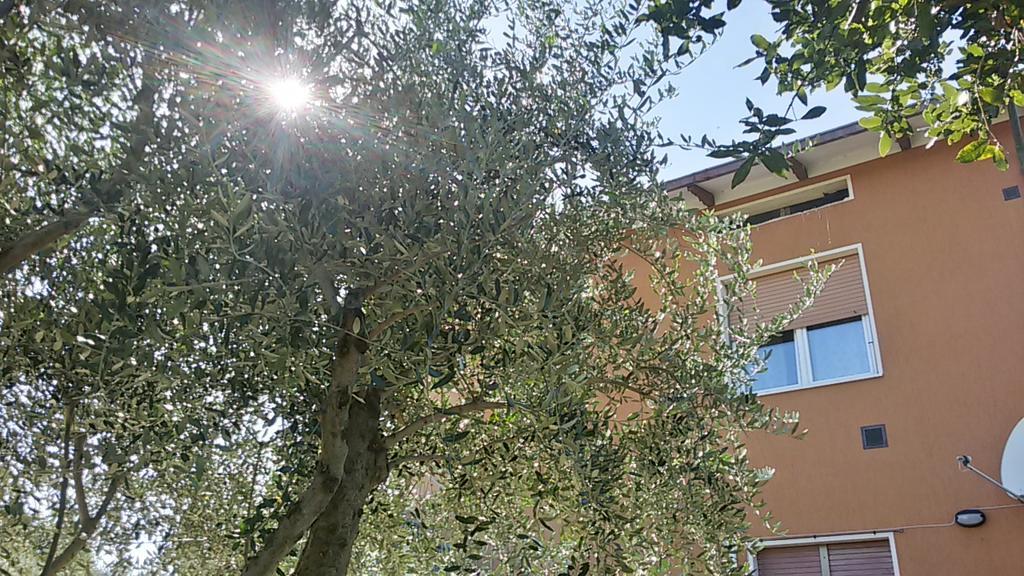 산 로렌조 인 캄포 Il Borghetto 아파트 외부 사진